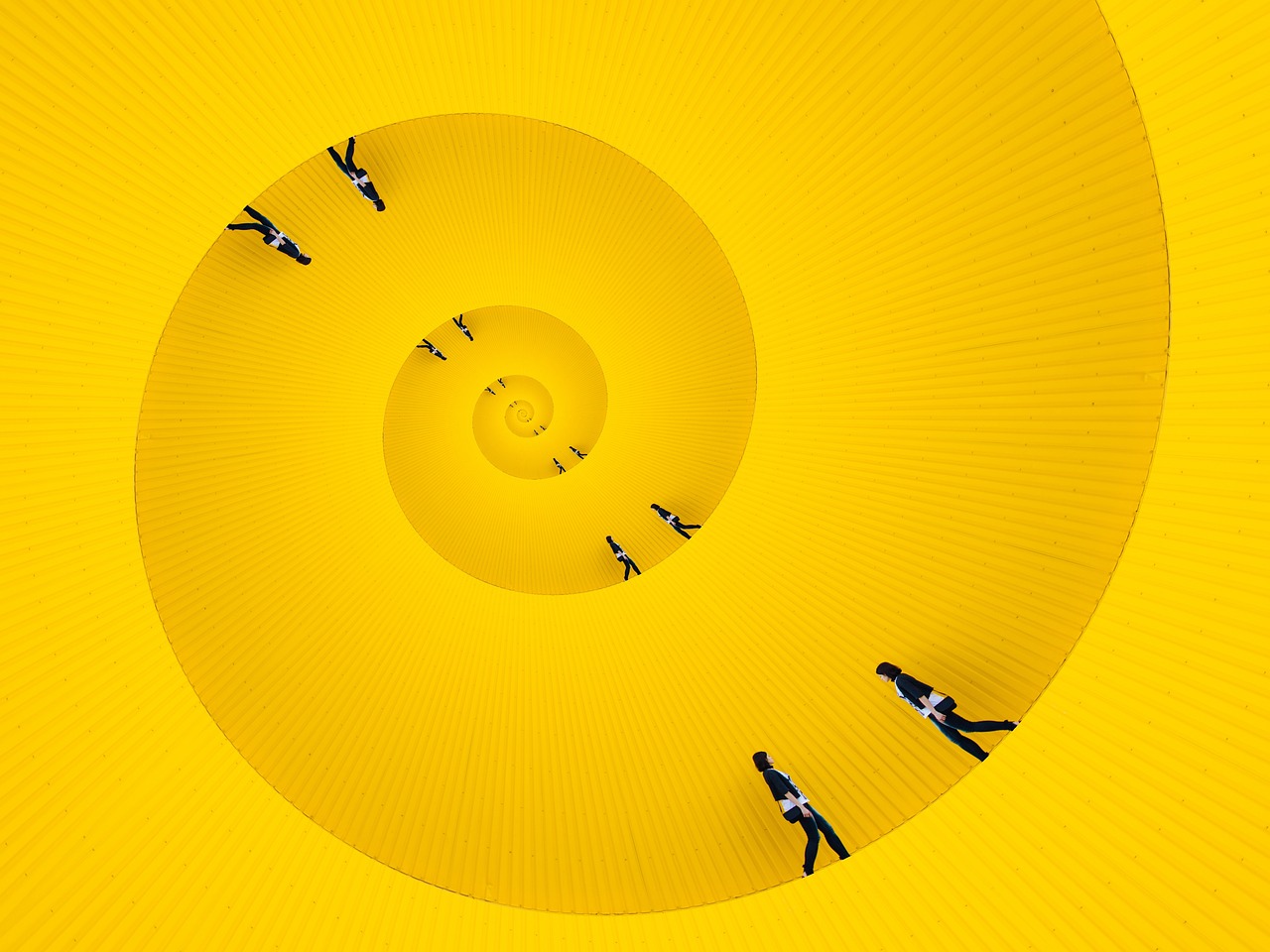 circle, snail, yellow-3762954.jpg
